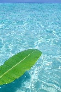 那不勒斯备战下一场比赛，主帅心态平和