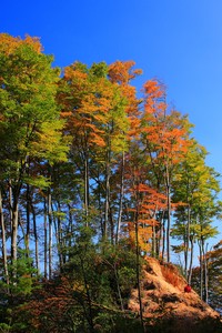 日本球队在比赛中挣扎，无法阻止对手的进攻