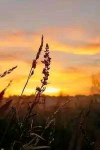 日本球队在比赛中挣扎，无法阻止对手的进攻