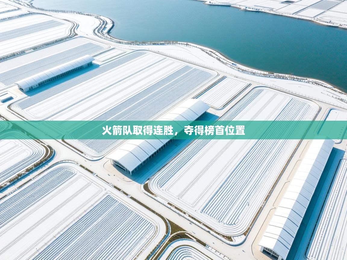 火箭队取得连胜，夺得榜首位置  第2张