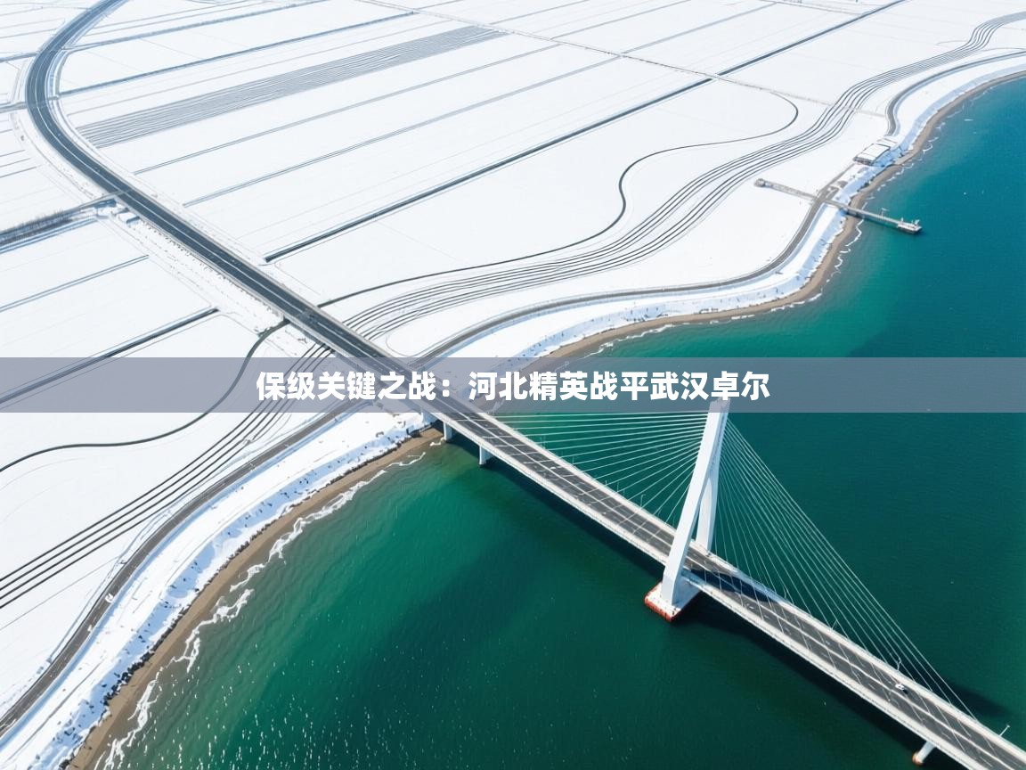 保级关键之战:河北精英战平武汉卓尔 第2张